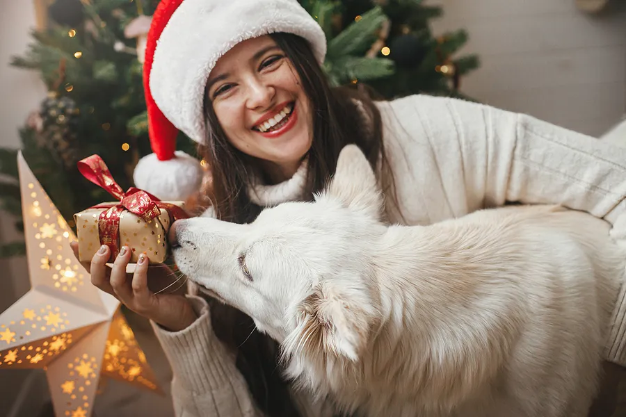 Why is December A Great Time To See Your Dentist?
